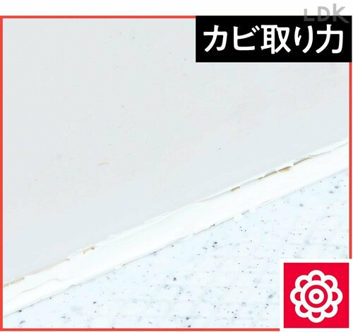 カビ取り力 カビ取りスプレーおすすめ イメージ