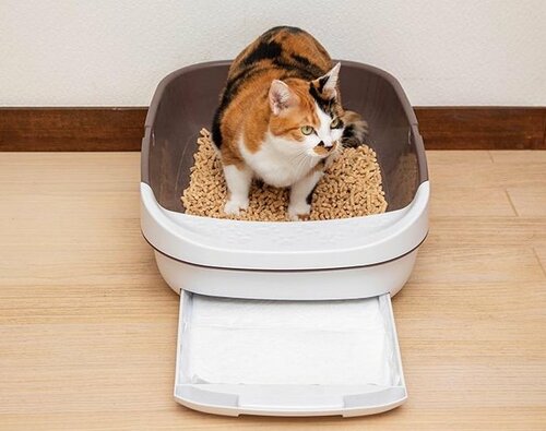 シートの香りが強すぎない 猫用ペットシーツおすすめ イメージ2
