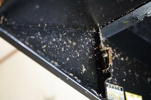 レンジフードのギトギト汚れは 食器用洗剤で撃退できます! イメージ2