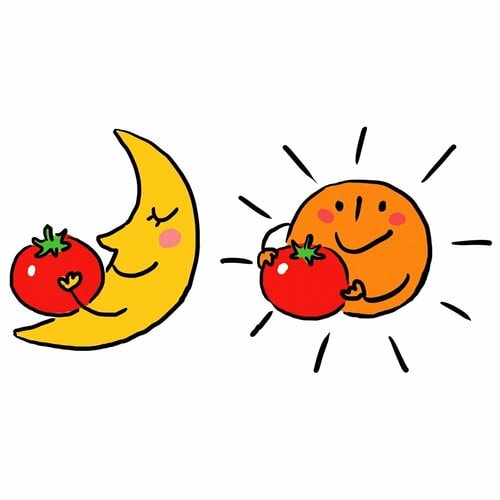 トマトを食べるなら夜? 朝? 美肌になるのはどっち? 美肌になる食事おすすめ イメージ