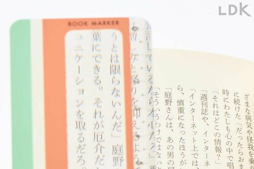 ルーペとしては正直見にくい イメージ