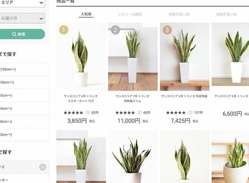ネット通販で購入するなら買った後に 観葉植物おすすめ イメージ