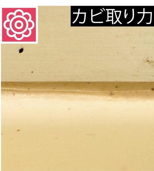 カビ取り力 カビ取りスプレーおすすめ イメージ