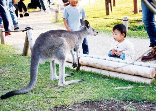 横浜市立金沢動物園 基本情報