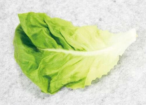 密閉しないのにニオイも移る使い勝手悪すぎな保存容器 イメージ