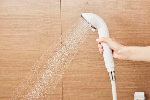 ダブル 節水シャワーヘッドおすすめ イメージ