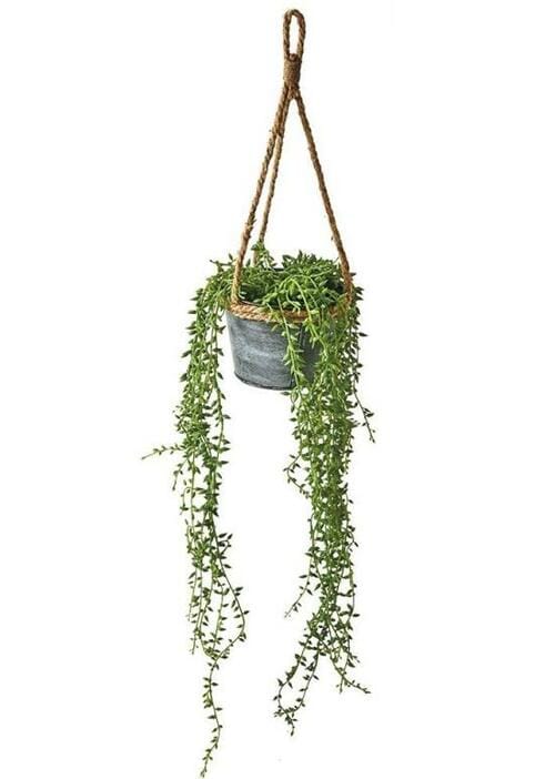 フェイク感が惜しい「ニトリ ハンギングスチールポット」 イメージ