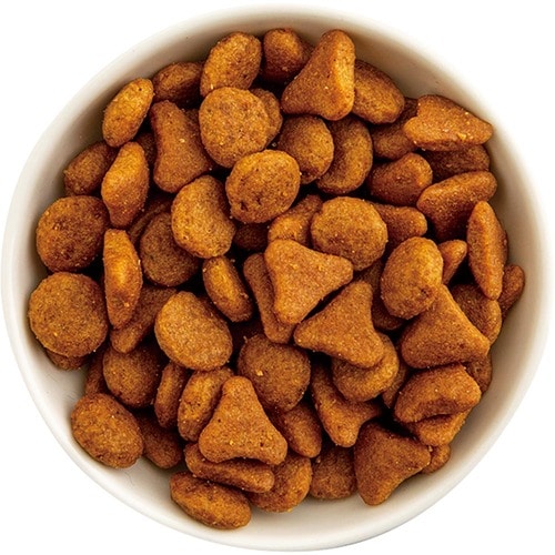 猫用ドライフードおすすめ ロイヤルカナン アロマ エクシジェント 食事にこだわりがある成猫用 イメージ2