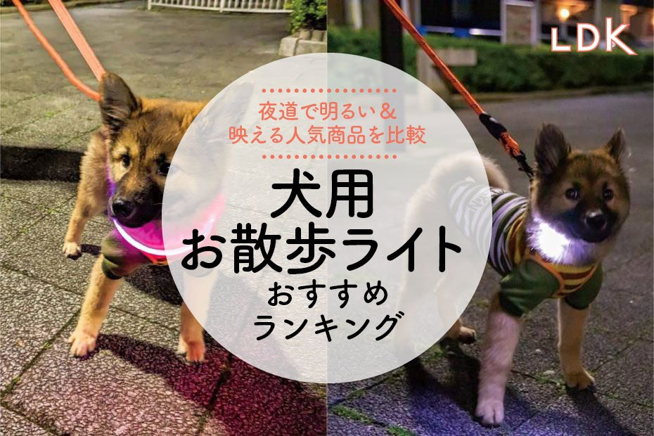 犬のお散歩用ライトのおすすめランキング6選。LDKが首輪タイプなど 