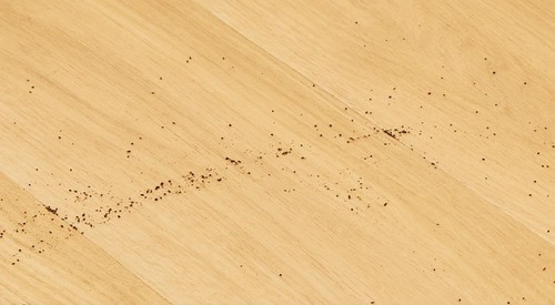 回転ブラシがゴミを散らす ロボット掃除機おすすめ イメージ