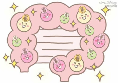 ヨーグルトで叶える! おなかスッキリのメカニズム ヨーグルトおすすめ イメージ2