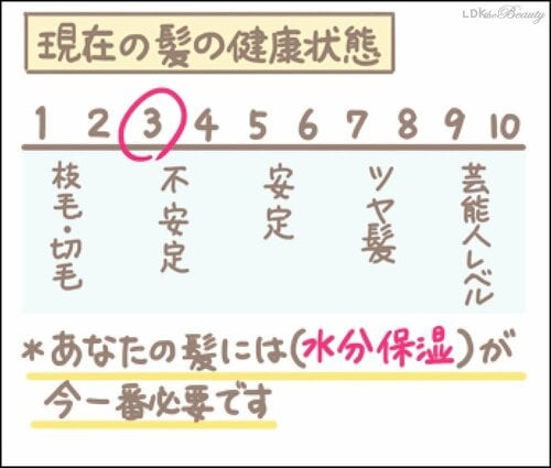 髪の状態を10段階で評価 サロン潜入レポおすすめ イメージ