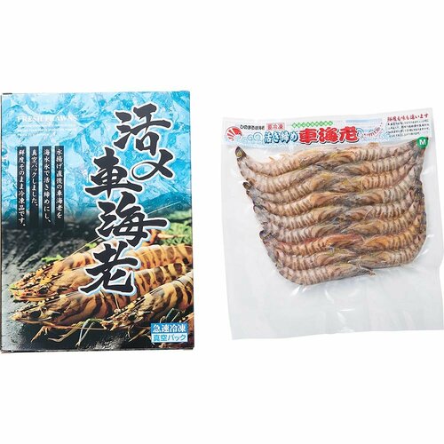 屋久島育ちの車海老 頭から丸ごと味わう ふるさと納税おすすめ イメージ