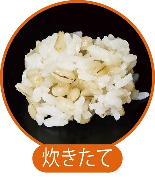 炊きたての状態 もち麦おすすめ イメージ