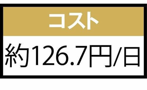 コスト：1日約126.7円 コエンザイムQ10サプリおすすめ イメージ