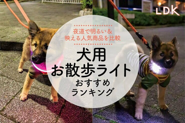 犬のお散歩用ライトのおすすめランキング。LDKが首輪タイプなど明るい人気商品をテスト