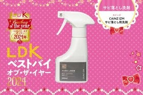 玄関タイルにこびりついたサビ、消えるんです！ カインズの専用洗剤が優秀【LDKベストバイ2024】