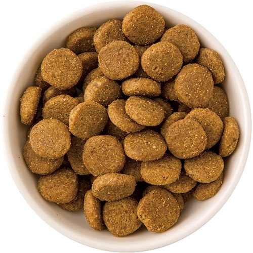 グレインフリーキャットフードおすすめ マースジャパン ニュートロナチュラルチョイス 食にこだわる猫用 アダルトチキン イメージ2