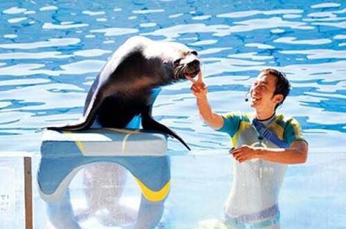 ファミリーにもカップルにもオススメ「新江ノ島水族館」