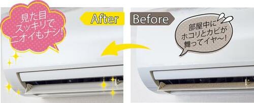 エアコン汚れはアルコールとすきま用ワイパーで撃退 イメージ2