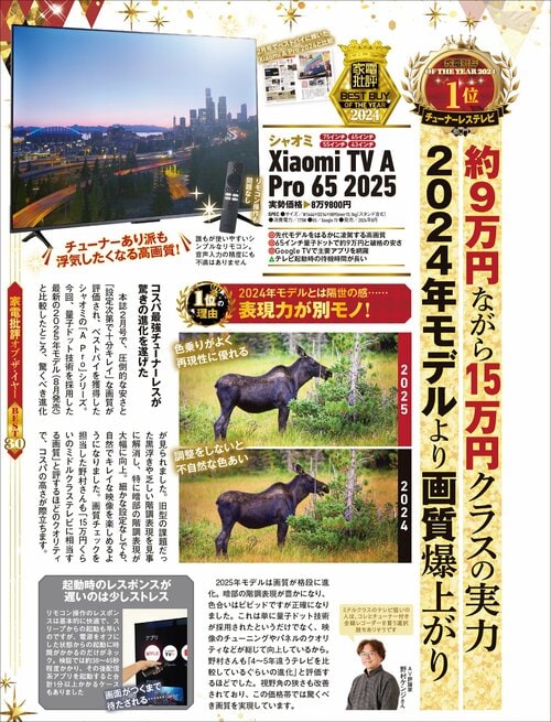【家電批評2024ベストバイ】の記事一覧はこちら シャオミ「Xiaomi TV A Pro 65 2025」おすすめ イメージ2