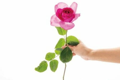初心者でもおしゃれに飾れる花瓶は? イメージ2