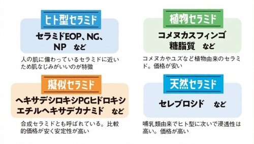 選び方1:セラミドの種類で選ぶ セラミド化粧水おすすめ イメージ