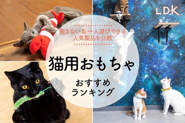 猫用おもちゃのおすすめランキング。猫じゃらしなど飽きない人気商品を徹底比較