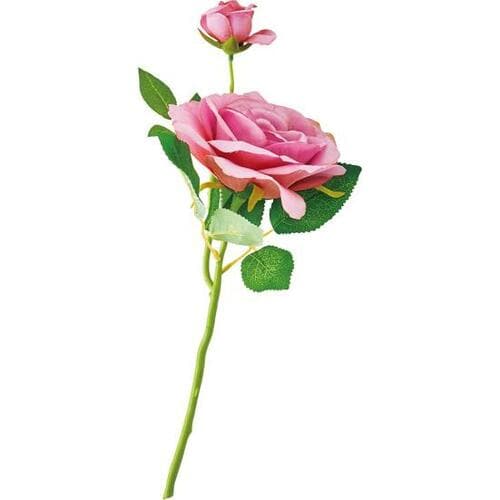 ダイソー「造花」は自然な色で安っぽく見えない！ イメージ