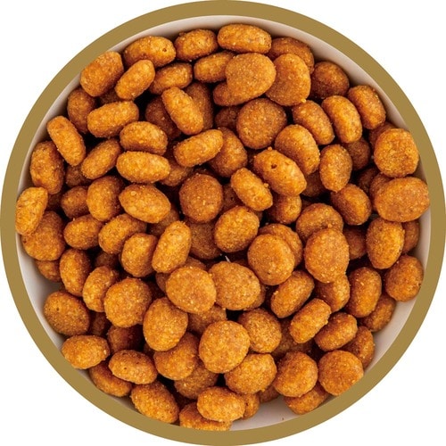 猫用ドライフードおすすめ ペットライン メディファスアドバンス 2種の尿石ケア 1歳から チキン&フィッシュ味 イメージ2