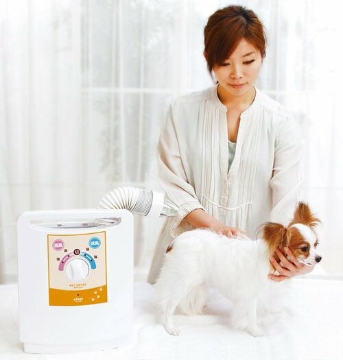 しっかり乾かさないとダメなのに犬はドライヤーが嫌い？ イメージ