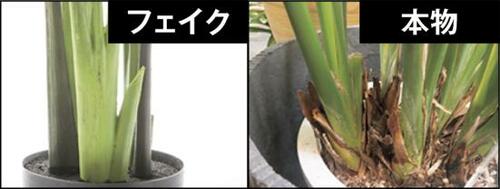近くで見ても本物ソックリ精巧さで抜きん出たニトリ