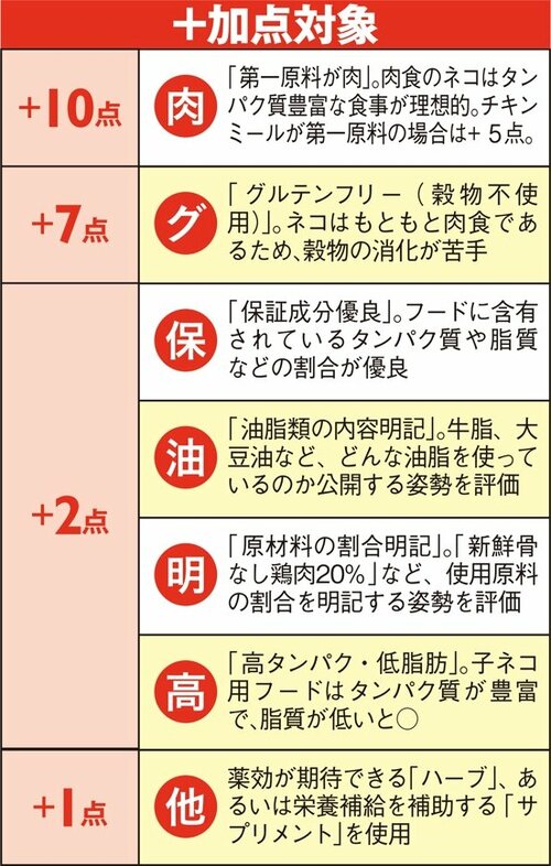 主要な子ネコ向けフードを集めてガチで検証！ イメージ2