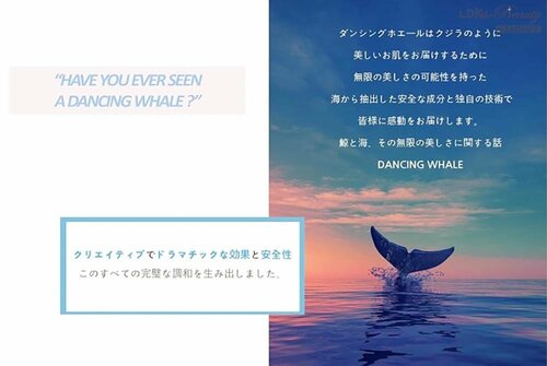 保湿力は高いダンシングホエールのパック イメージ