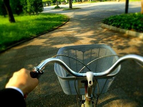 発売3日で即完売の「グラフィット」って? イメージ