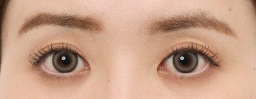 <!--td {border: 1px solid #cccccc;}br {mso-data-placement:same-cell;}--> 子猫っぽさが叶う グレーカラコンおすすめ イメージ