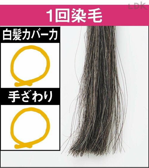 1回染毛 白髪染めトリートメントおすすめ イメージ