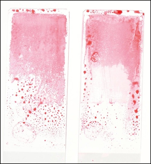 洗浄力 ボディソープおすすめ イメージ