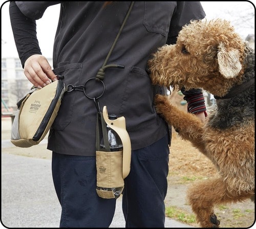 デザイン性は抜群！ ネックは歩きづらいこと 犬のお散歩バッグおすすめ イメージ