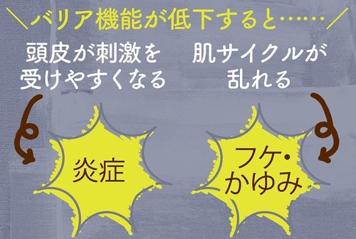 頭皮の乾燥が気になるなら保湿力の高いものを 頭皮ケアローションおすすめ イメージ