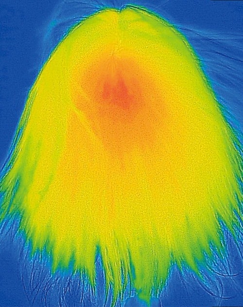 速乾性 2025年ベストコスメおすすめ イメージ