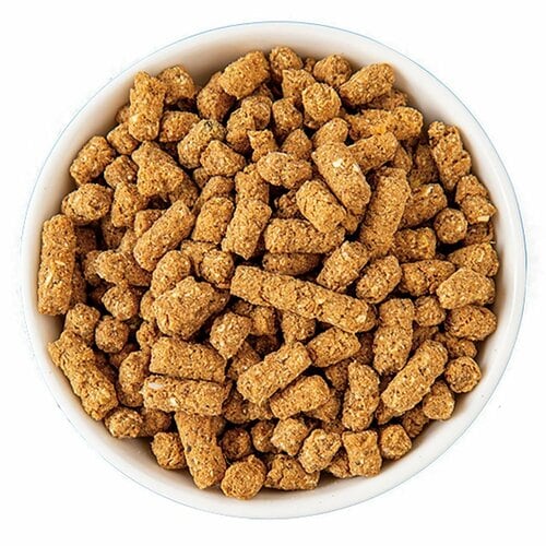 猫用ドライフードおすすめ 犬猫生活 犬猫生活 国産の生鶏肉/金沢港の朝獲れ魚 イメージ2