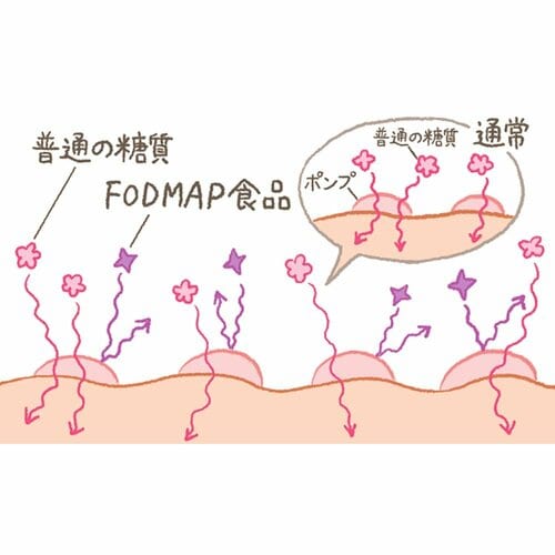 米粉麺の特徴は? 小麦粉の麺との違い 米粉麺おすすめ イメージ