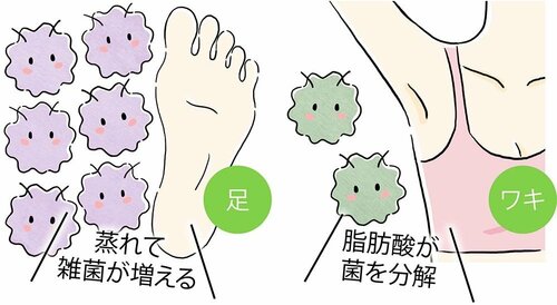 Q.特にワキと足のニオイを対策する方法は? イメージ