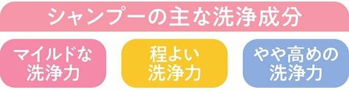 シャンプーの主な洗浄成分 ドラッグストアで買えるシャンプーおすすめ イメージ