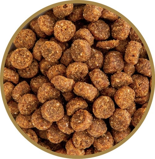 猫用ドライフードおすすめ フリーサンズビオ フェリシェフ ビオキャット アダルト イメージ2