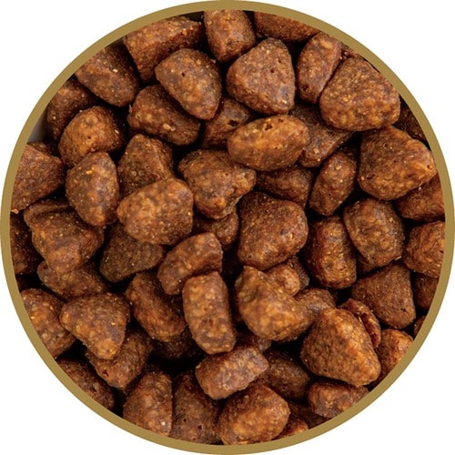 猫用ドライフードおすすめ グランツ グランツ プレミアムキャットフード チキン&サーモン イメージ2