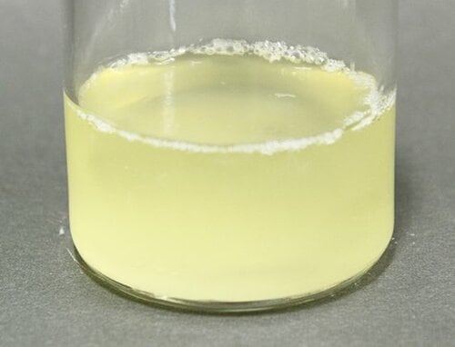 【A評価】まさに「プレミアム」！ 泡のチカラ手肌プレミアム イメージ2