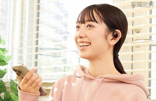 音域のバランス特性 安いながら聴きイヤホンおすすめ イメージ3