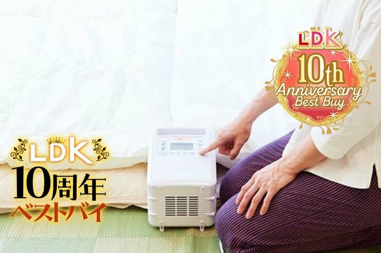フッカフカ布団で眠ろ！ 年中大活躍の布団乾燥機はおすすめアイリスオーヤマでした【LDK10周年ベストバイ】